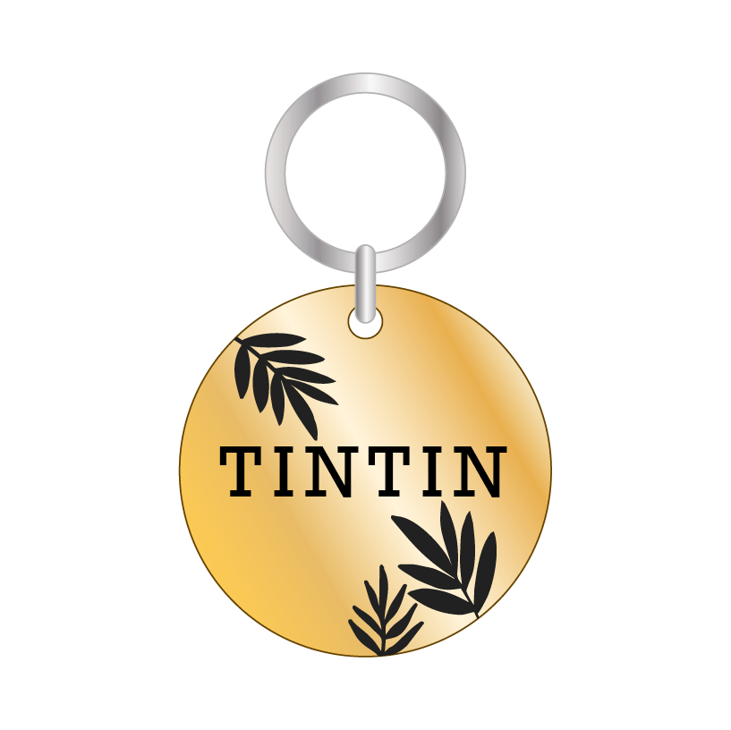 TINTIN