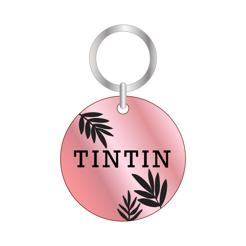 TINTIN